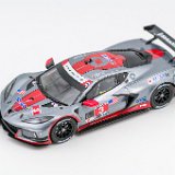 Chevrolet Corvette C8R 12h Sebring 2021 No.3