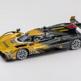 Cadillac V-Series.R Cadillac Racing No.01 12 Hours of Sebring 2024